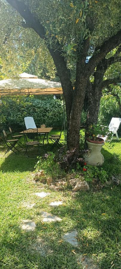 Apartment Reginella Al Mare *