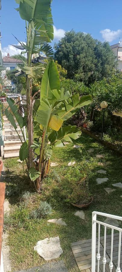 Apartment Reginella Al Mare *